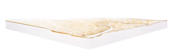 Reconstitution du paysage de Biache-Saint-Vaast vers -160 000 ans. © G.Leroy