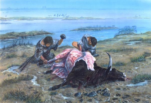 Dépeçage d’un aurochs à Biache-Saint-Vaast. © G.Tosello