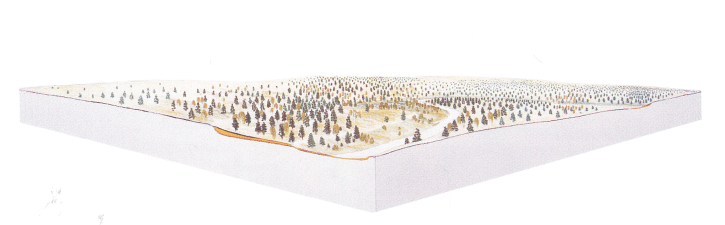 Reconstitution du paysage de Biache-Saint-Vaast vers -190 000 ans. © G.Leroy