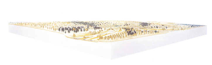 Reconstitution du paysage de Biache-Saint-Vaast vers -240 000 ans. © G.Leroy